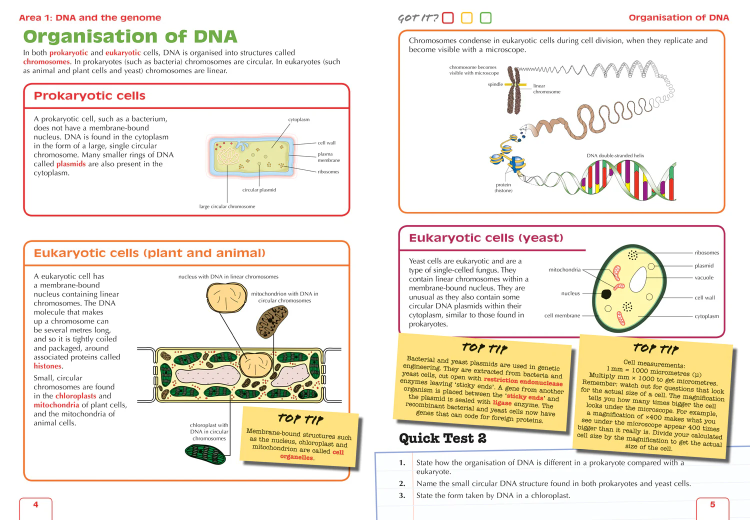 10-leckie-complete-revision-practice-higher-biology-preparation-and-support-for-teacher-assessment-3.webp Leckie Complete Revision & Practice - Higher Biology: Preparation and Support for Teacher Assessment