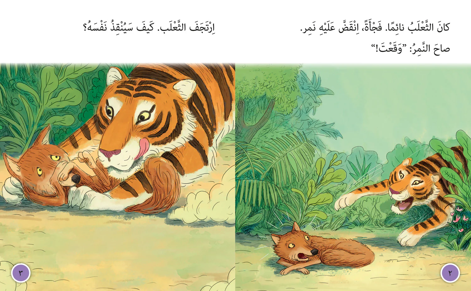 Collins Big Cat Arabic Reading Programme - The King of the Forest: Level 10
