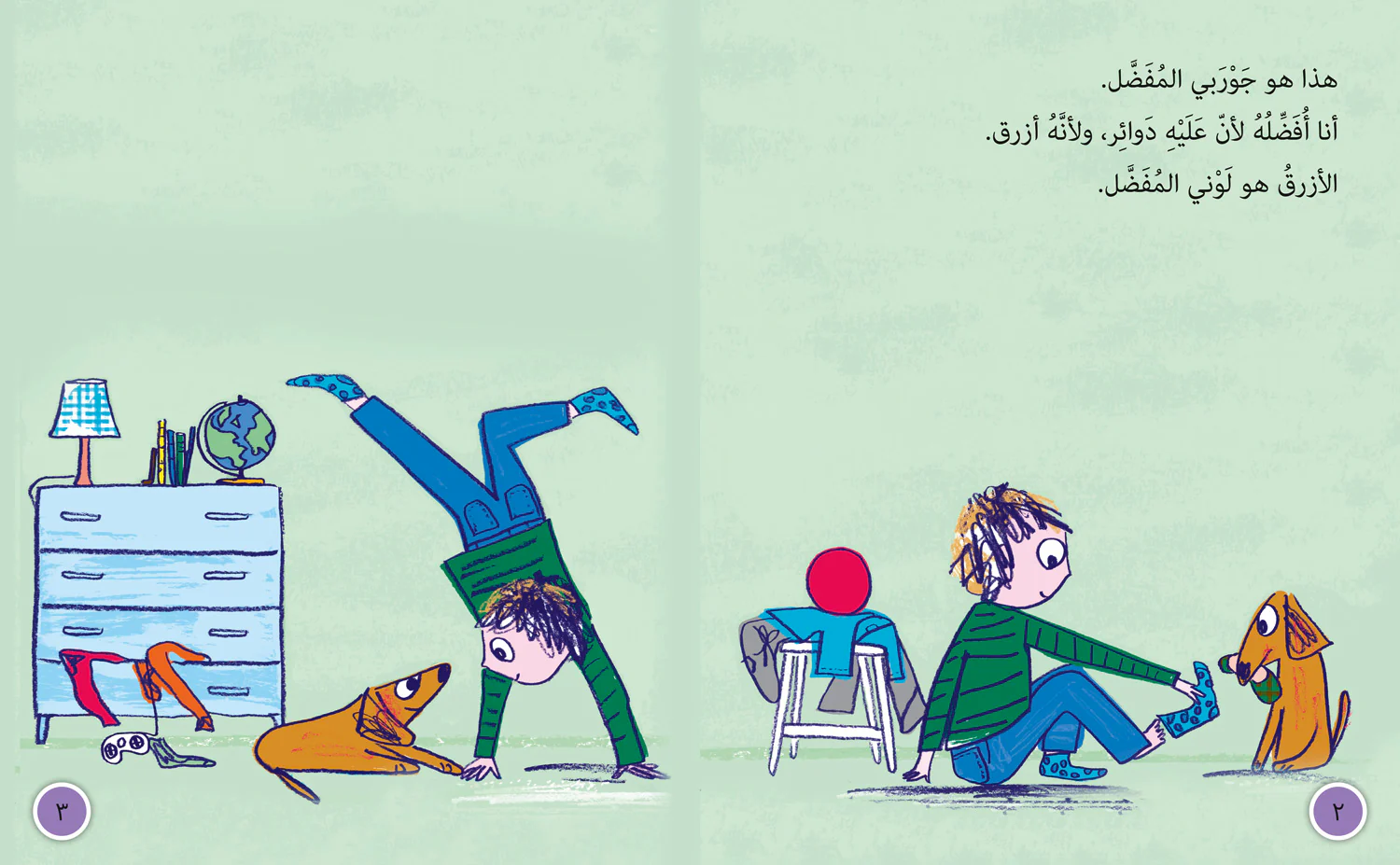 Collins Big Cat Arabic Reading Programme - Lost Sock: Level 11 (First edition)