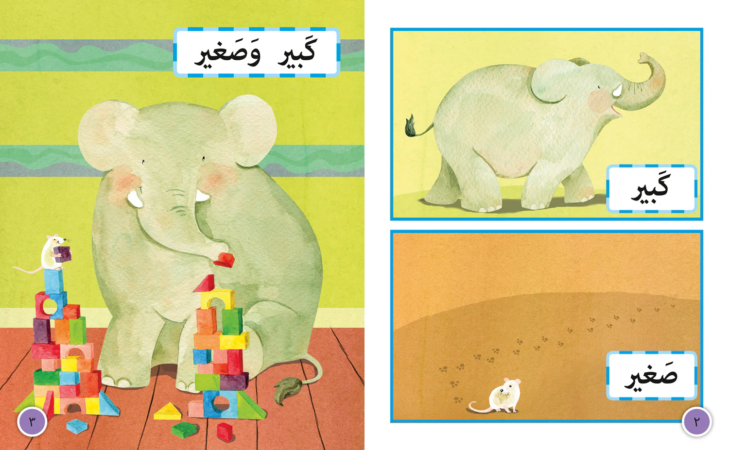 Collins Big Cat Arabic Reading Programme - Big and Small: Level 2 (KG)