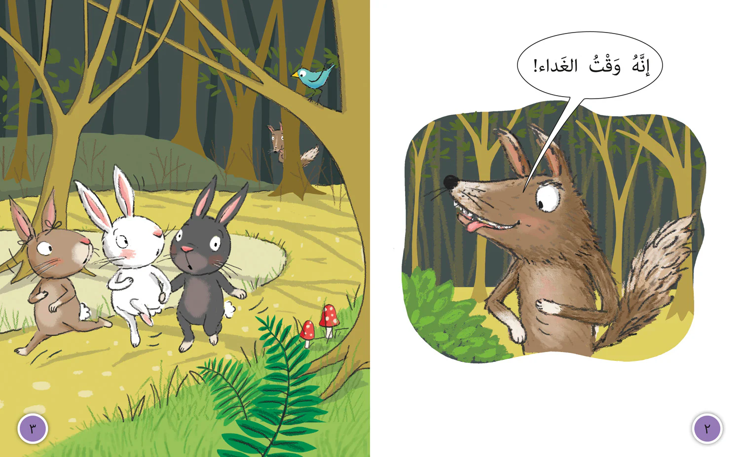 Collins Big Cat Arabic Reading Programme - The Rabbits’ House: Level 7