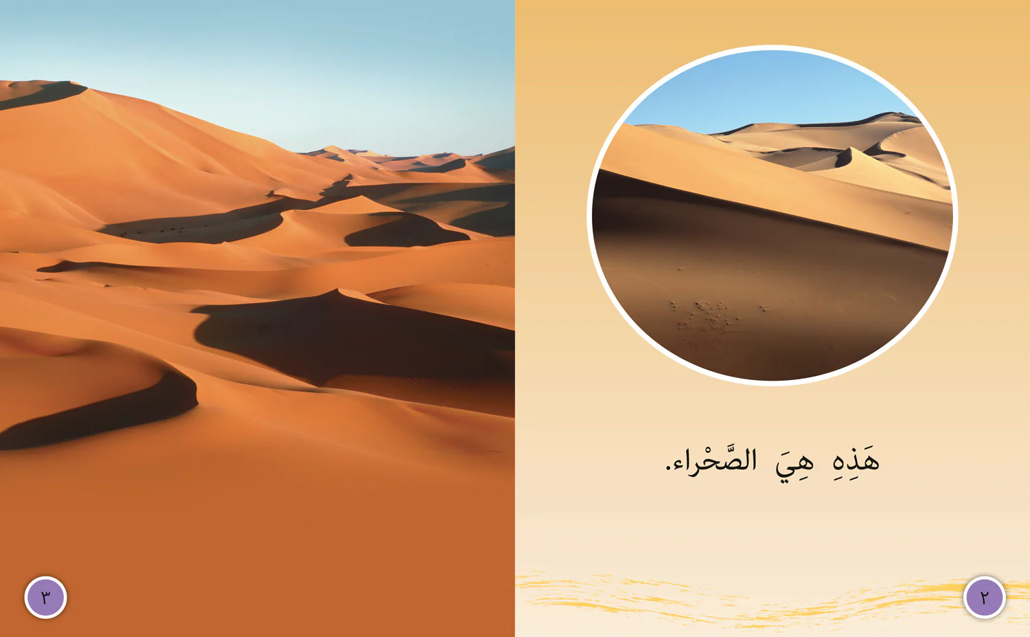 Collins Big Cat Arabic Reading Programme - In the Desert: Level 6 (First edition)