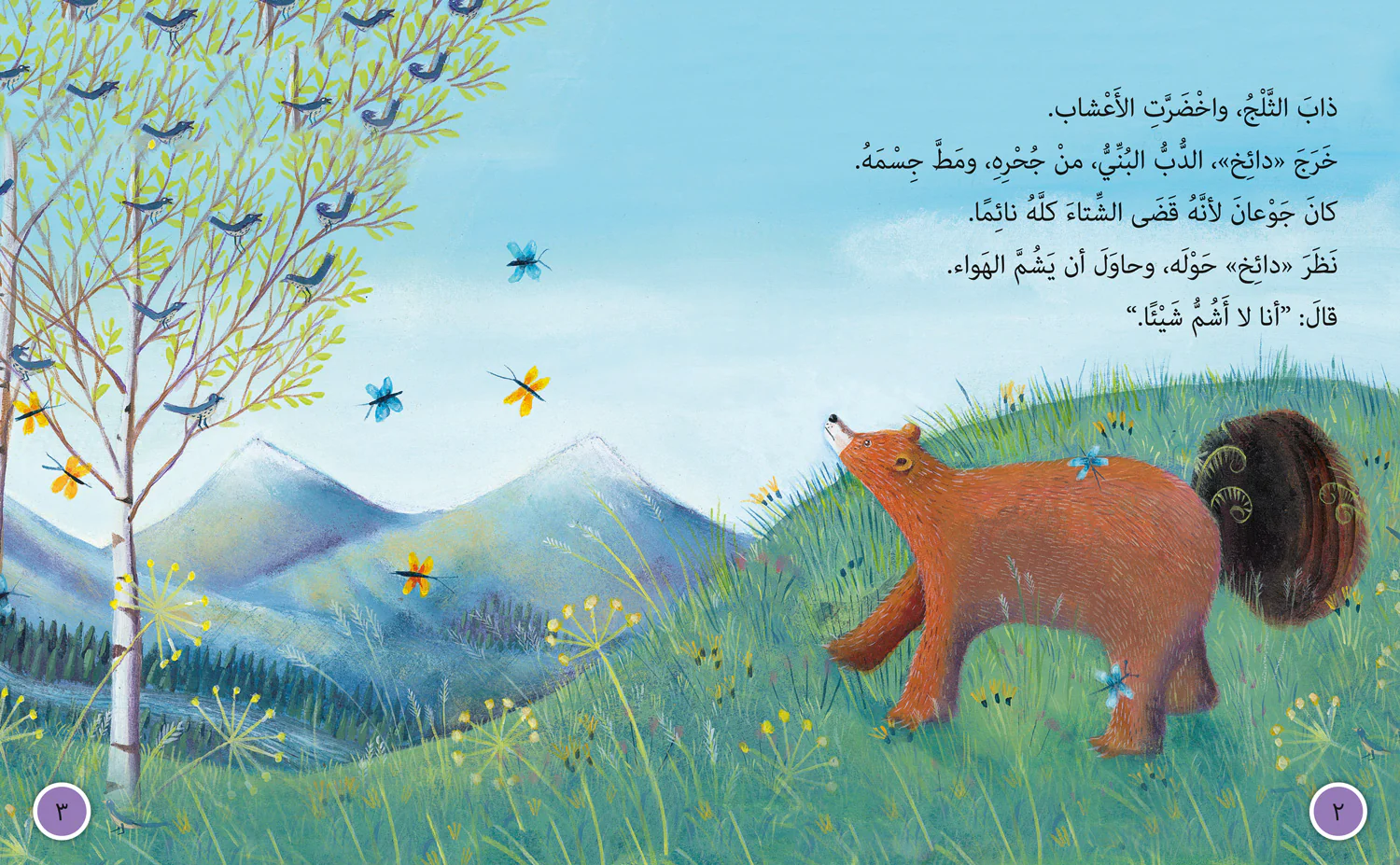 Collins Big Cat Arabic Reading Programme - Dizzy the Bear and Wilt the Wolf: Level 11