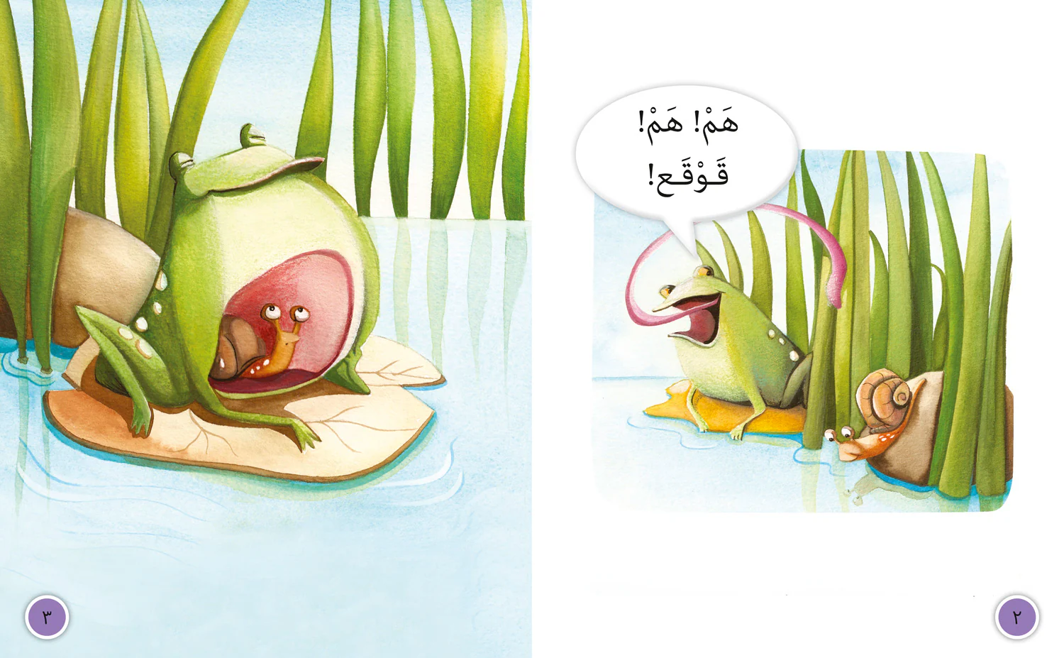 Collins Big Cat Arabic Reading Programme - Hum Hum: Level 5 (First edition)