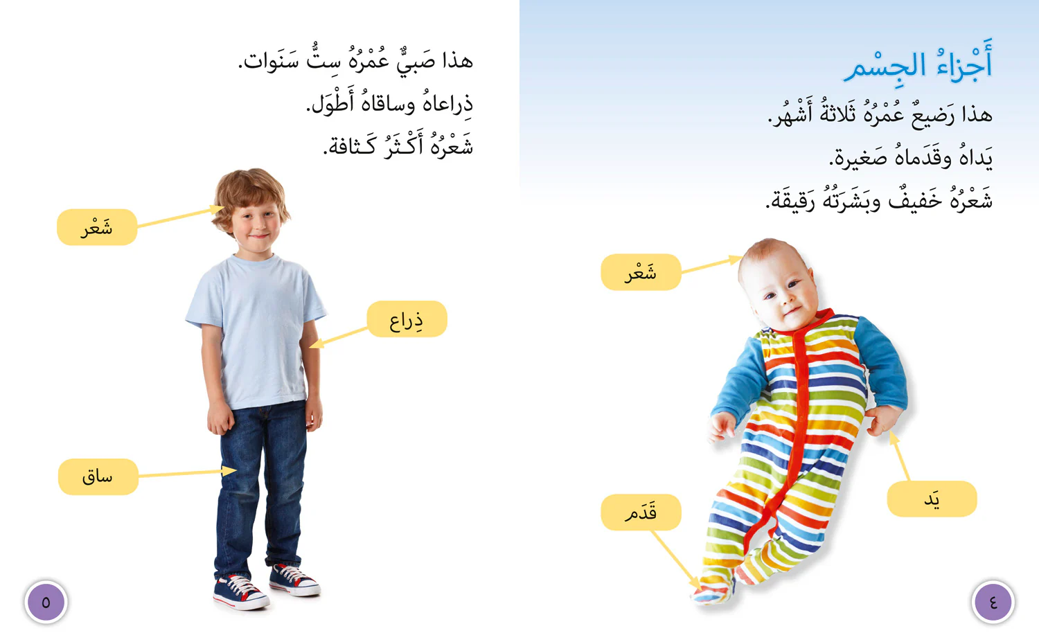 1329-collins-big-cat-arabic-reading-programme-we-grow-and-change-level-9-first-edition--3.webp Collins Big Cat Arabic Reading Programme - We Grow and Change: Level 9 (First edition)