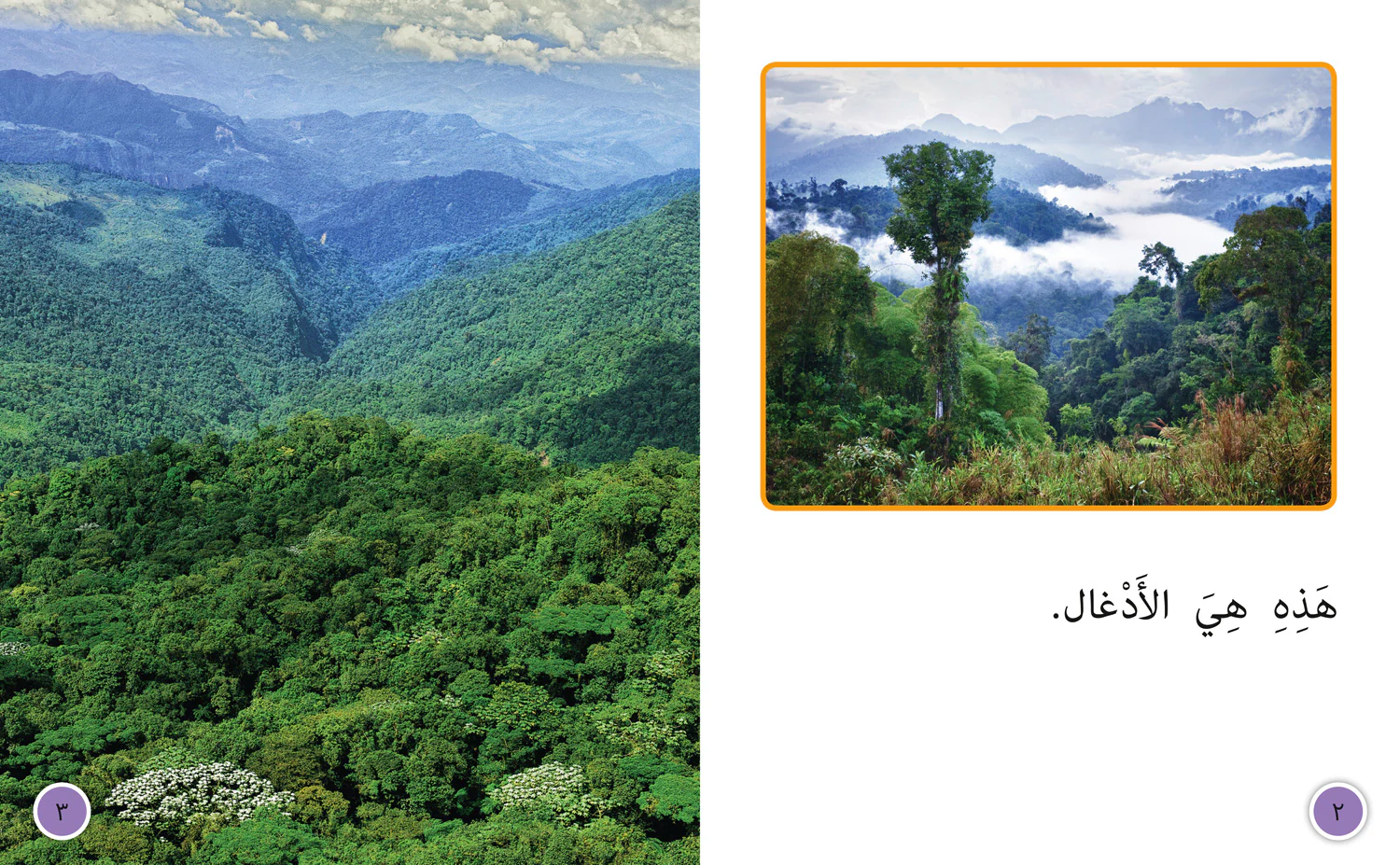 Collins Big Cat Arabic Reading Programme - In the Jungle: Level 6