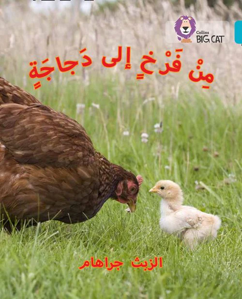 Collins Big Cat Arabic Reading Programme - Chick to Hen: Level 7