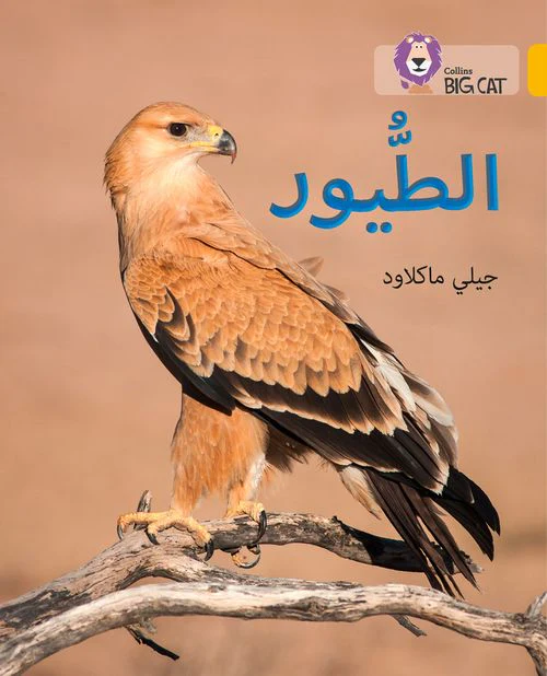 Collins Big Cat Arabic Reading Programme - Birds: Level 9