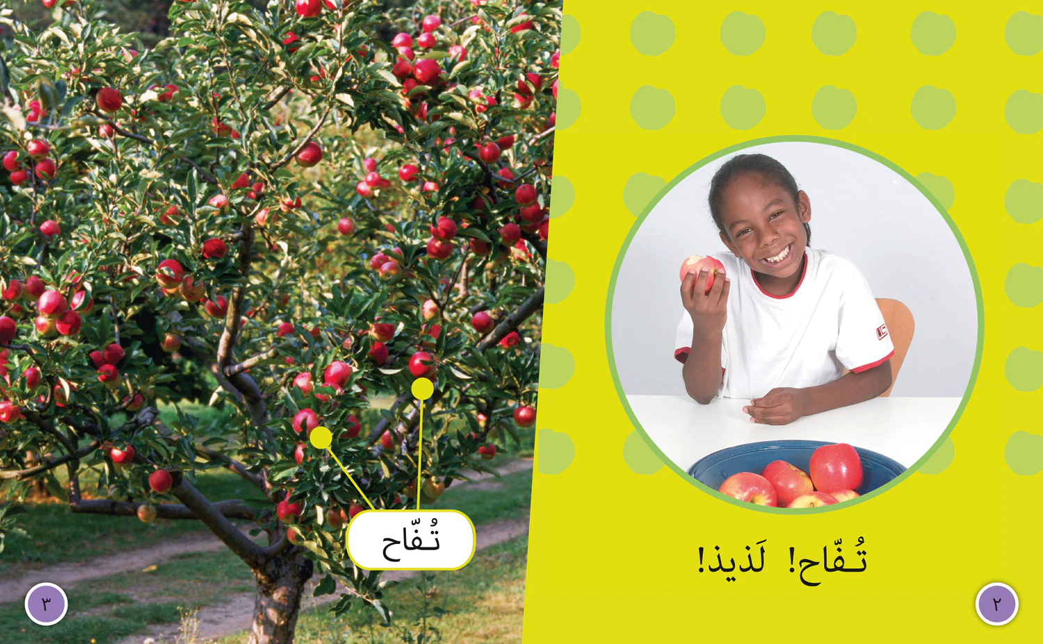 Collins Big Cat Arabic Reading Programme - Fruit: Level 4