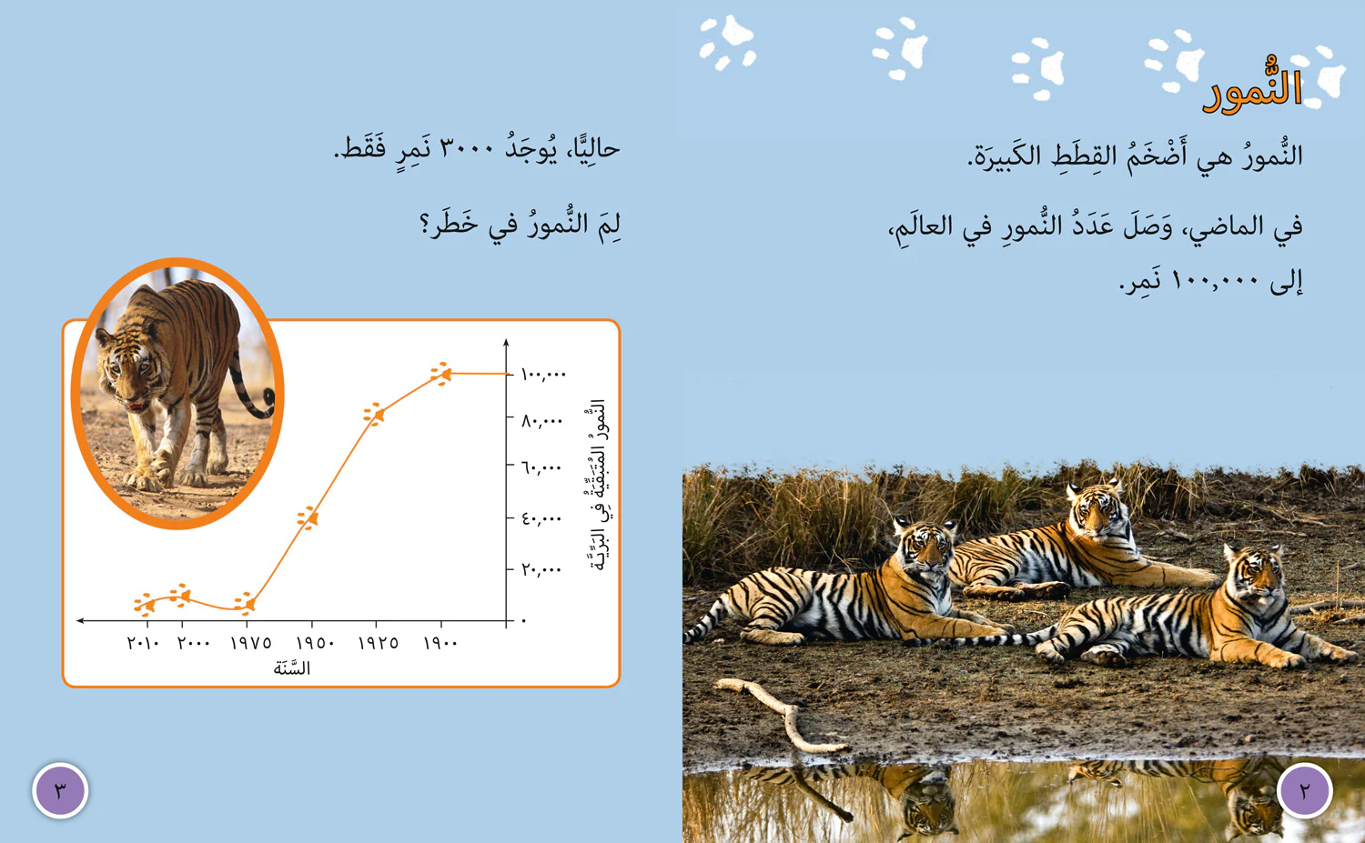 Collins Big Cat Arabic Reading Programme - Tigers in Danger: Level 10