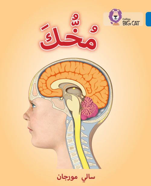 Collins Big Cat Arabic Reading Programme - Your Brain: Level 16