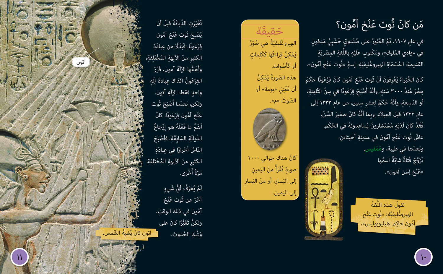 1366-collins-big-cat-arabic-reading-programme-discovering-tutankhamun-s-tomb-level-15-3.webp Collins Big Cat Arabic Reading Programme - Discovering Tutankhamun’s Tomb: Level 15