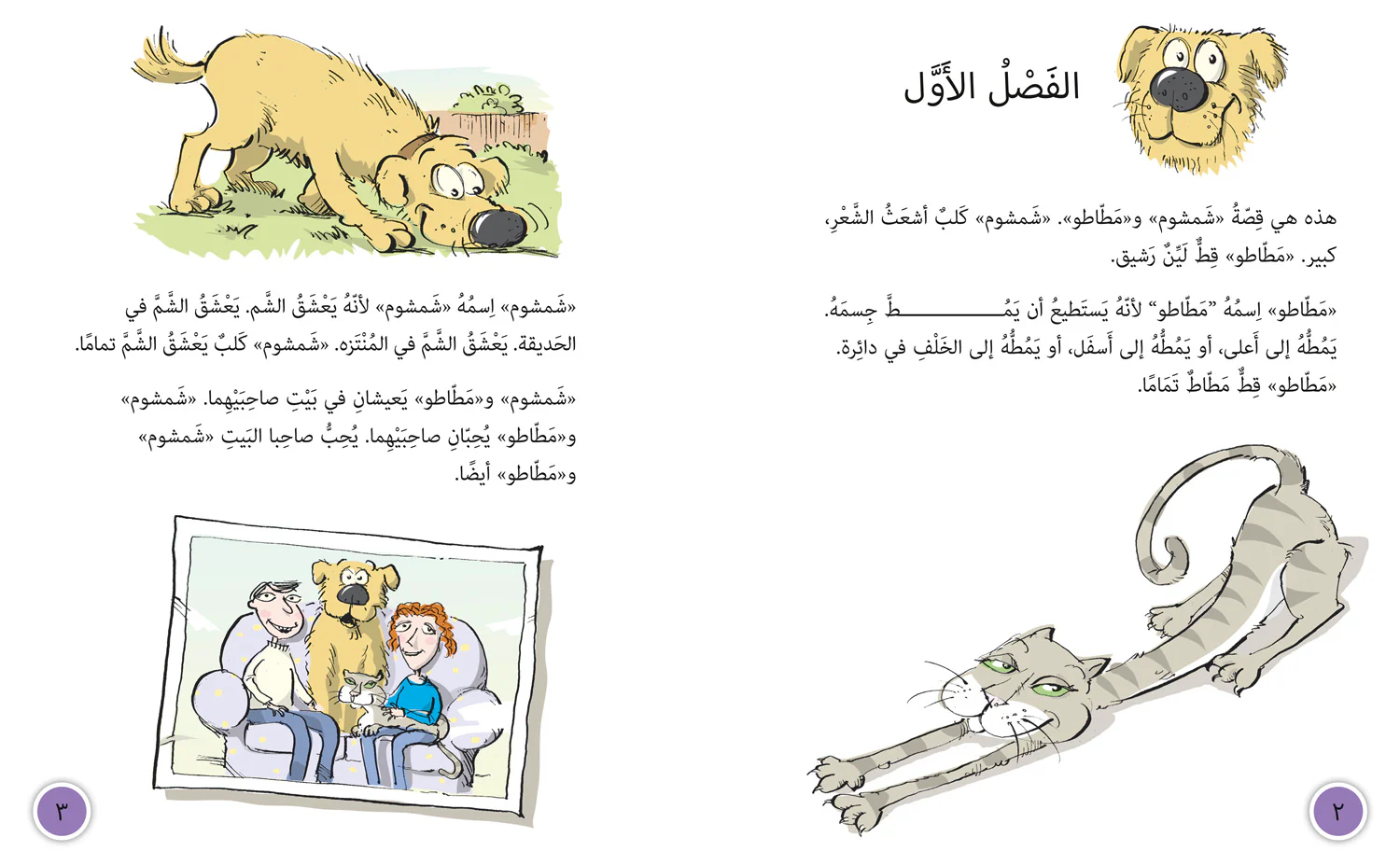 Collins Big Cat Arabic Reading Programme - Monster in the Mirror: Level 14 (First edition)