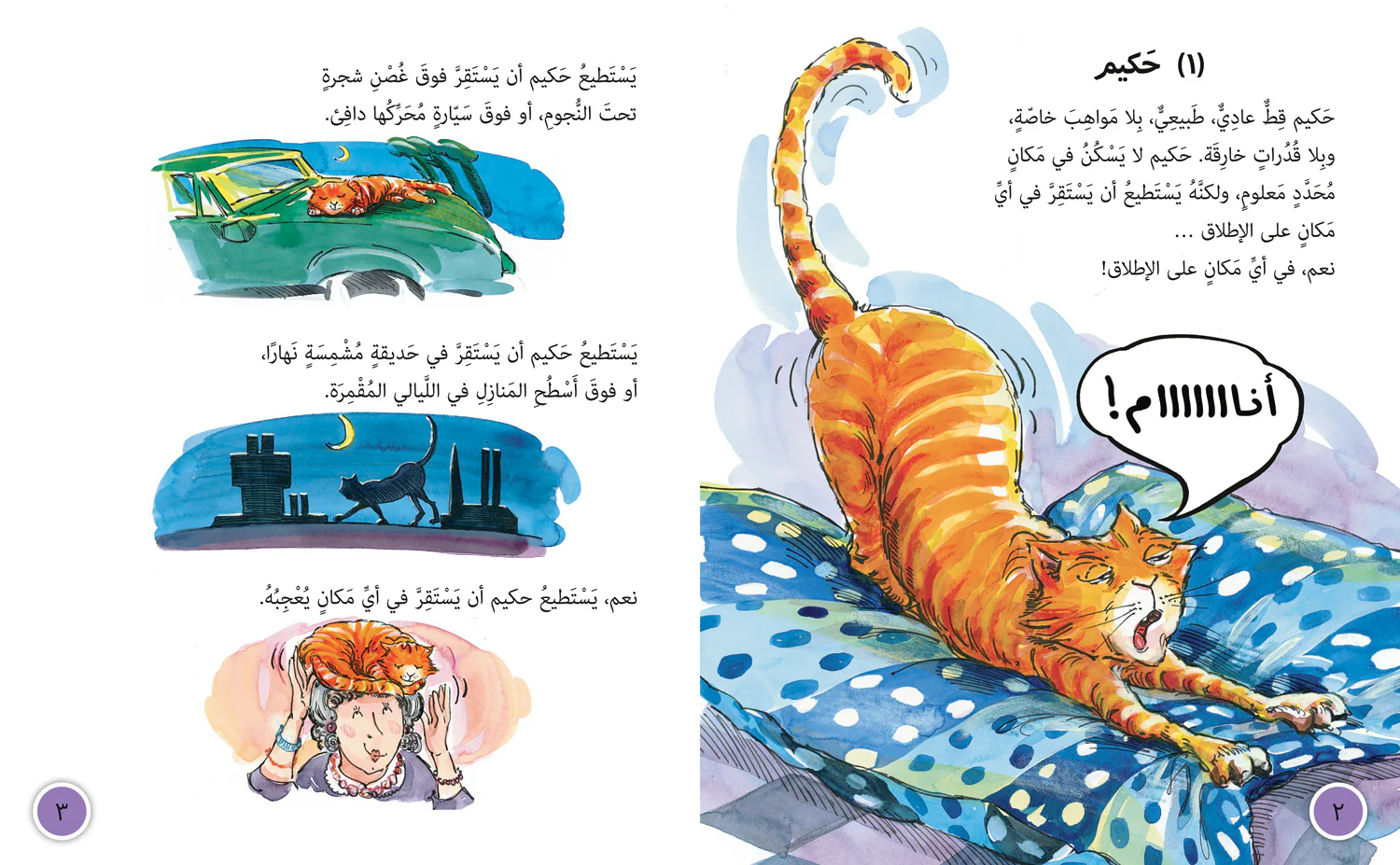 Collins Big Cat Arabic Reading Programme - Hakim’s Tale: Level 13