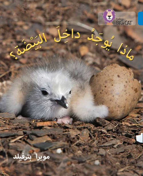1371-collins-big-cat-arabic-reading-programme-what-s-in-the-egg-level-4-3.webp Collins Big Cat Arabic Reading Programme - What's in the Egg?: Level 4