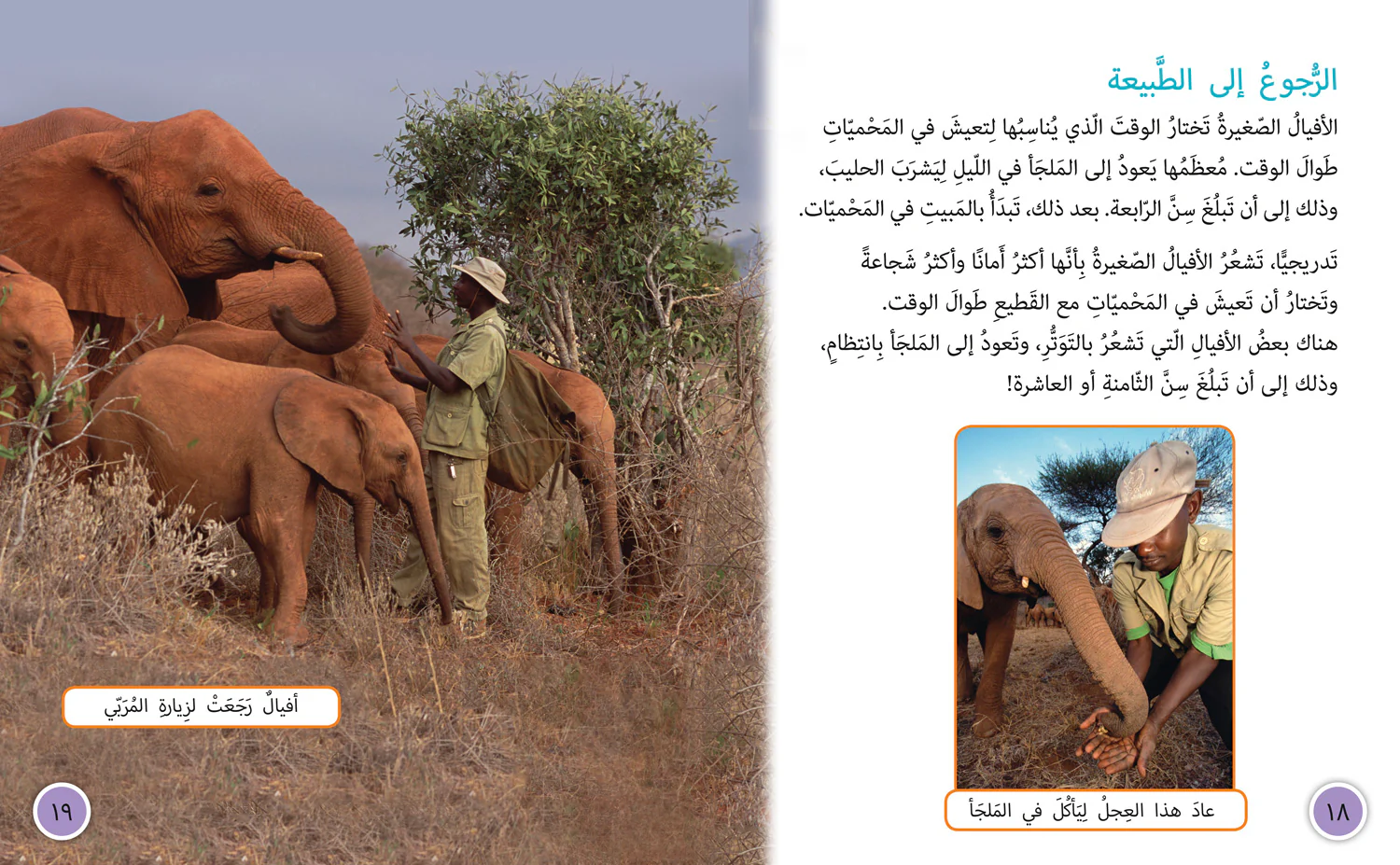 1373-collins-big-cat-arabic-reading-programme-elephant-sanctuary-level-12-first-edition--3.webp Collins Big Cat Arabic Reading Programme - Elephant Sanctuary: Level 12 (First edition)