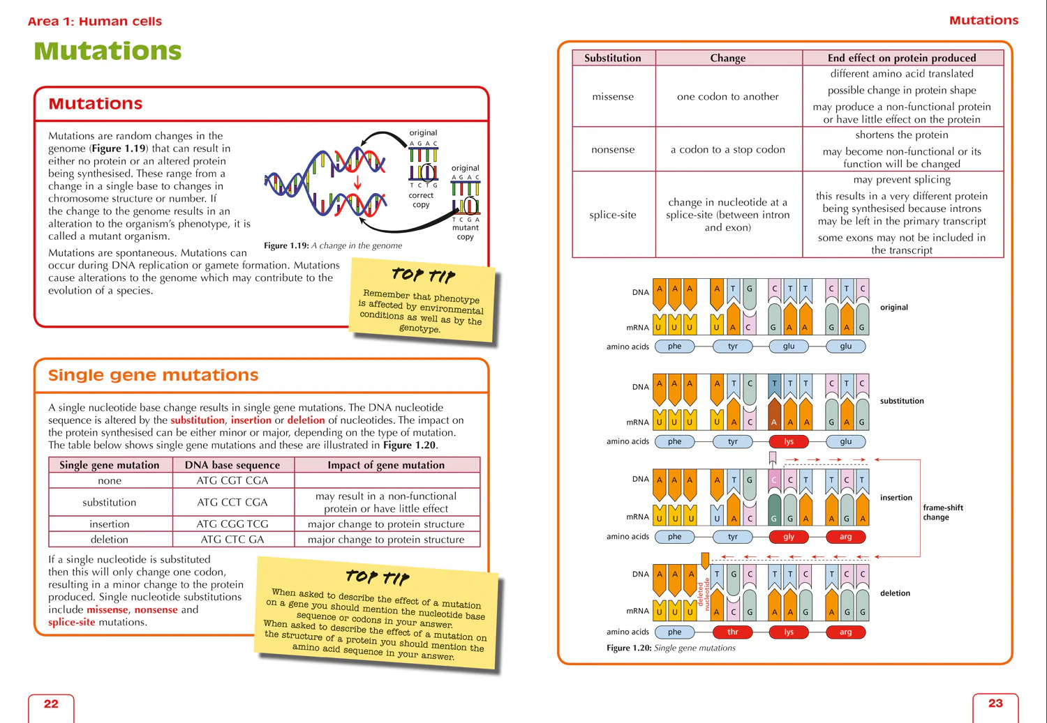 Leckie Complete Revision & Practice - Higher Human Biology: Preparation and Support for SQA Exams