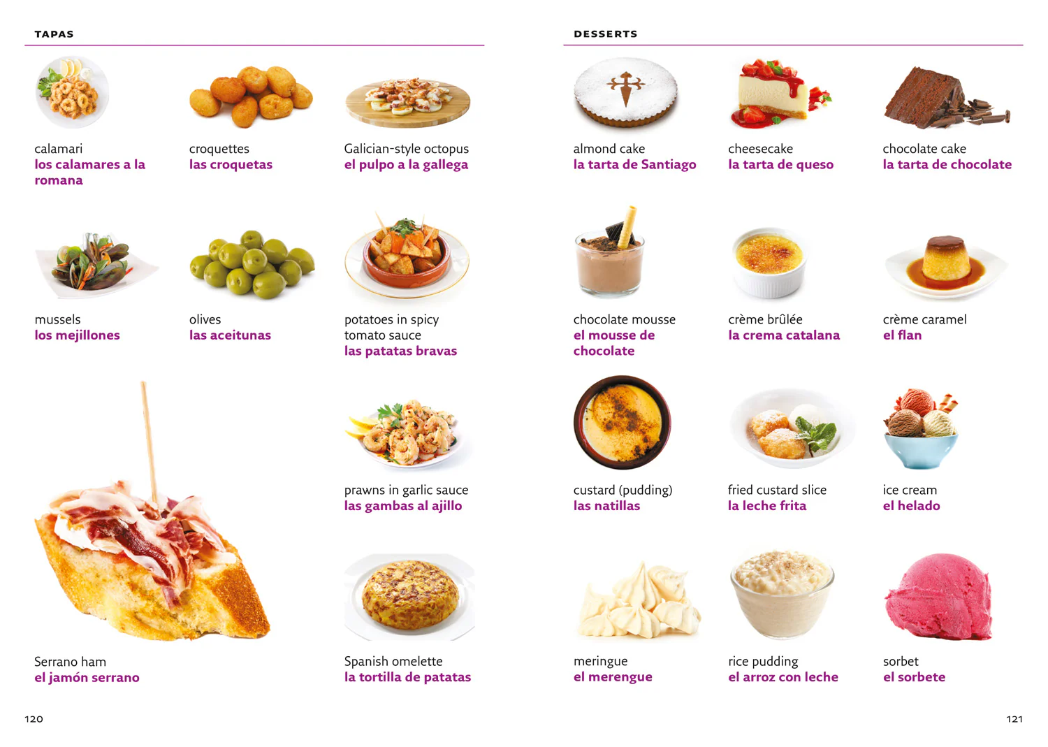 Collins Visual Dictionary - Spanish Visual Dictionary: A photo guide to everyday words and phrases in Spanish