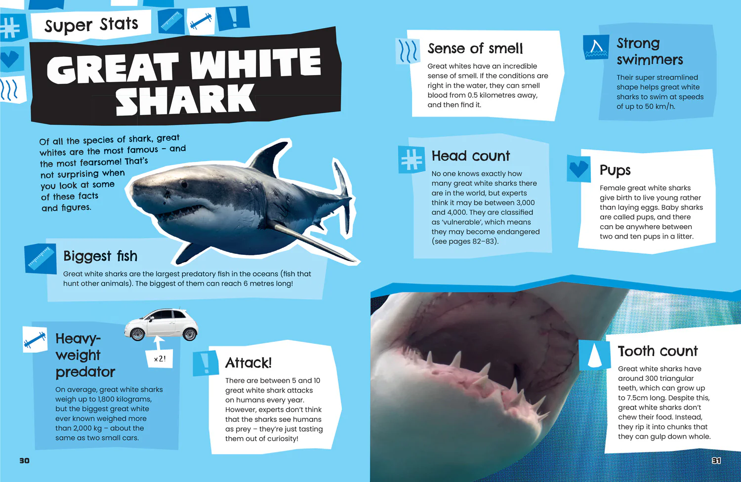 All About - Animals: Discover fascinating facts about wildlife