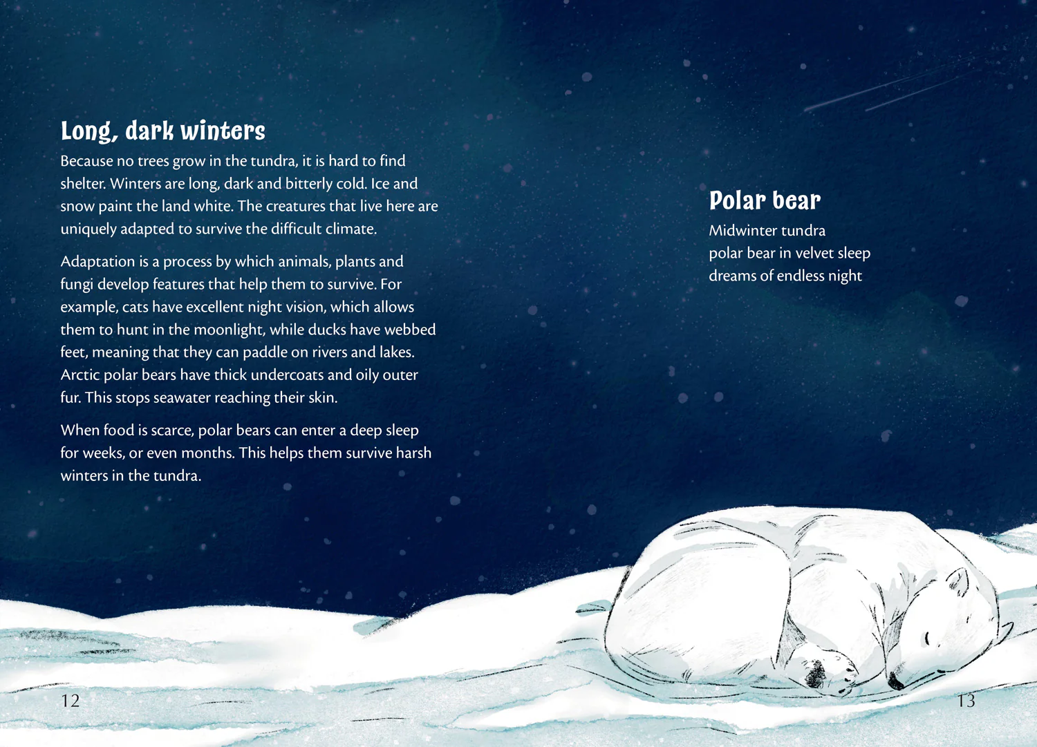 Big Cat for Little Wandle Fluency - Poems for our Planet: Fluency 15