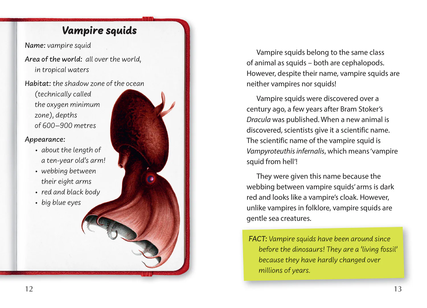 Big Cat for Little Wandle Fluency - Creepy Creatures: Fluency 12