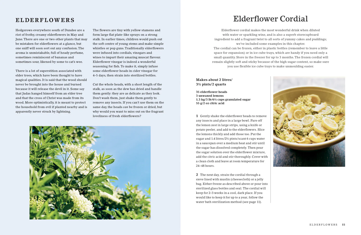 The Hedgerow Cookbook: Delicious Recipes for Foraged Food