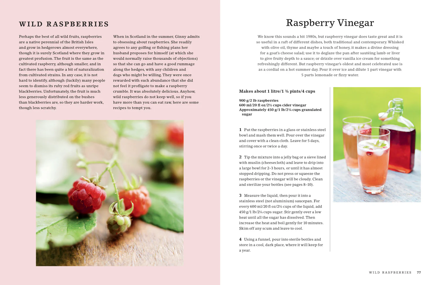 The Hedgerow Cookbook: Delicious Recipes for Foraged Food