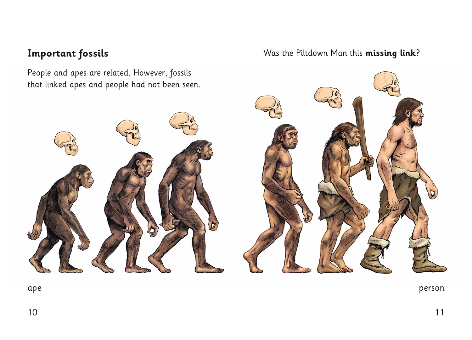 Fully Booked - The Case of the Piltdown Man