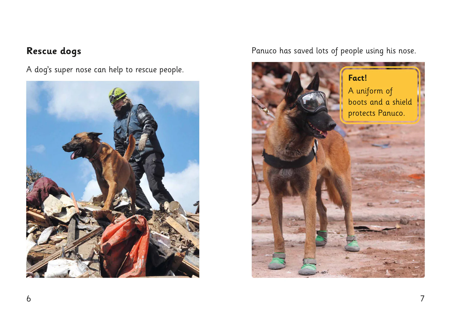 Fully Booked - Super Dogs