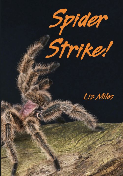 Fully Booked - Spider Strike!