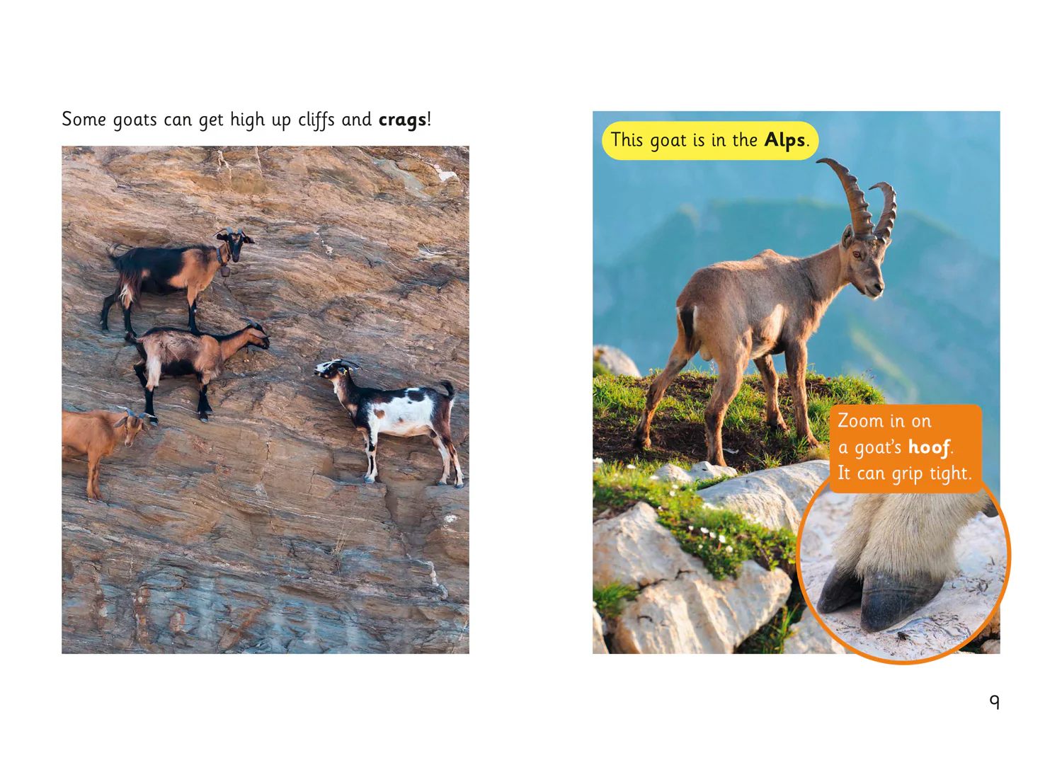 Fully Booked - Goat Skills
