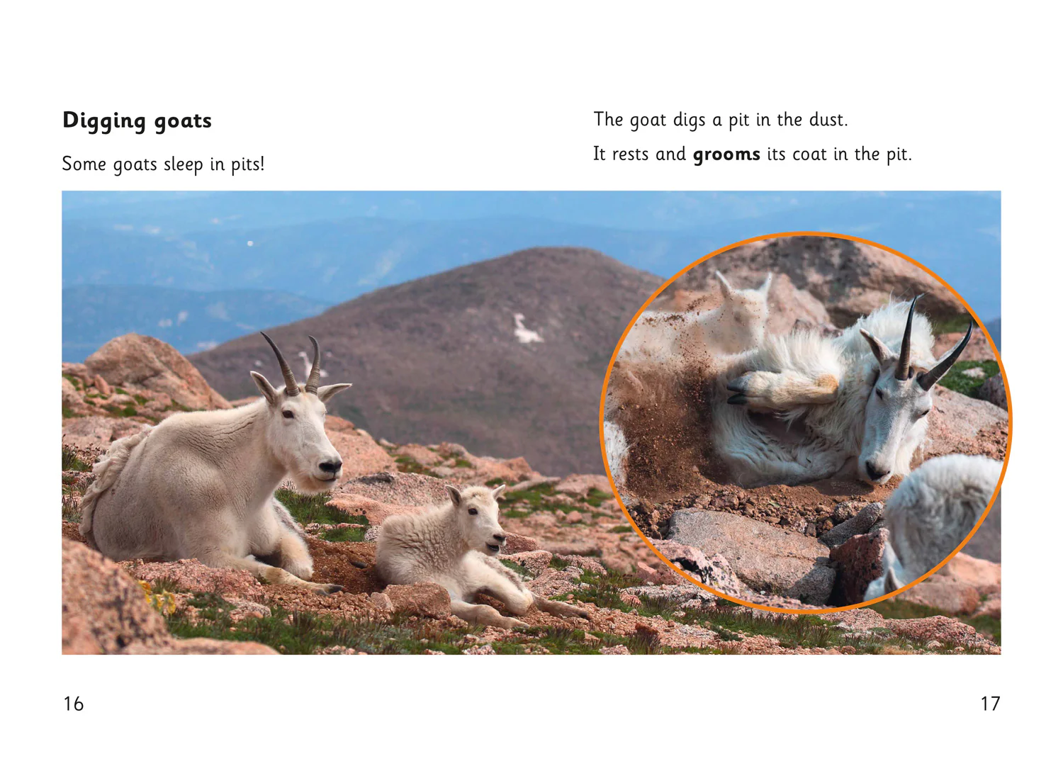 2105-fully-booked-goat-skills-3.webp Fully Booked - Goat Skills