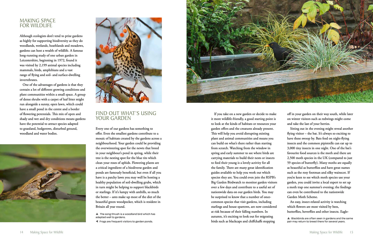 National Trust - The National Trust Book of Nature-Friendly Gardening