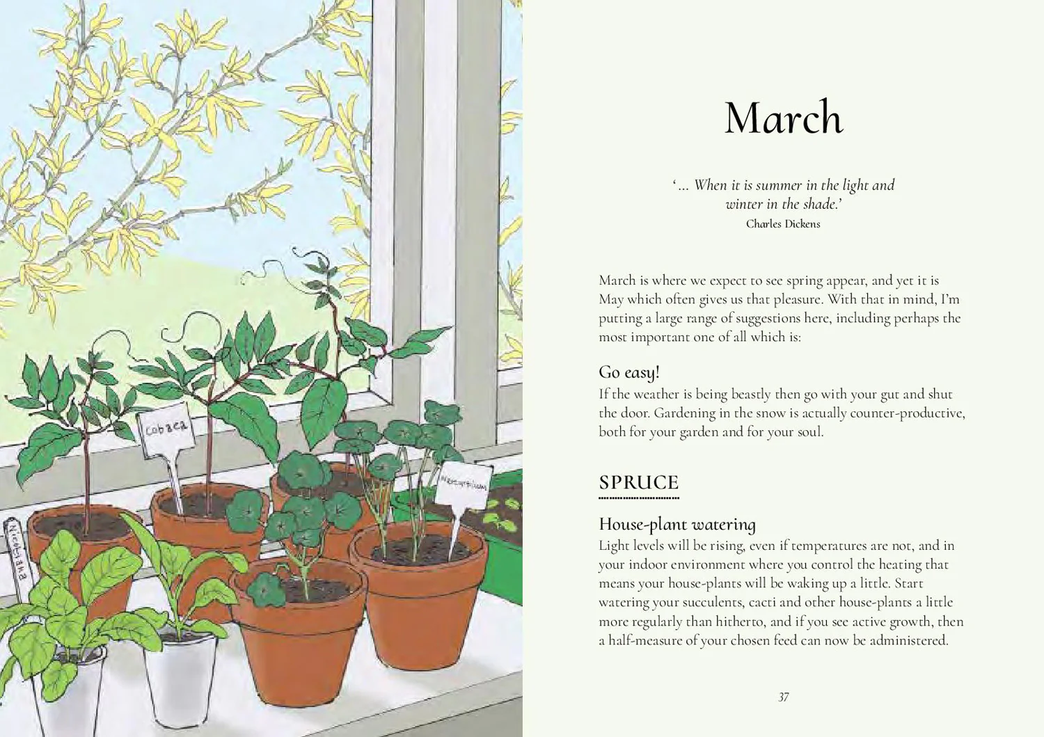 The Five Minute Garden