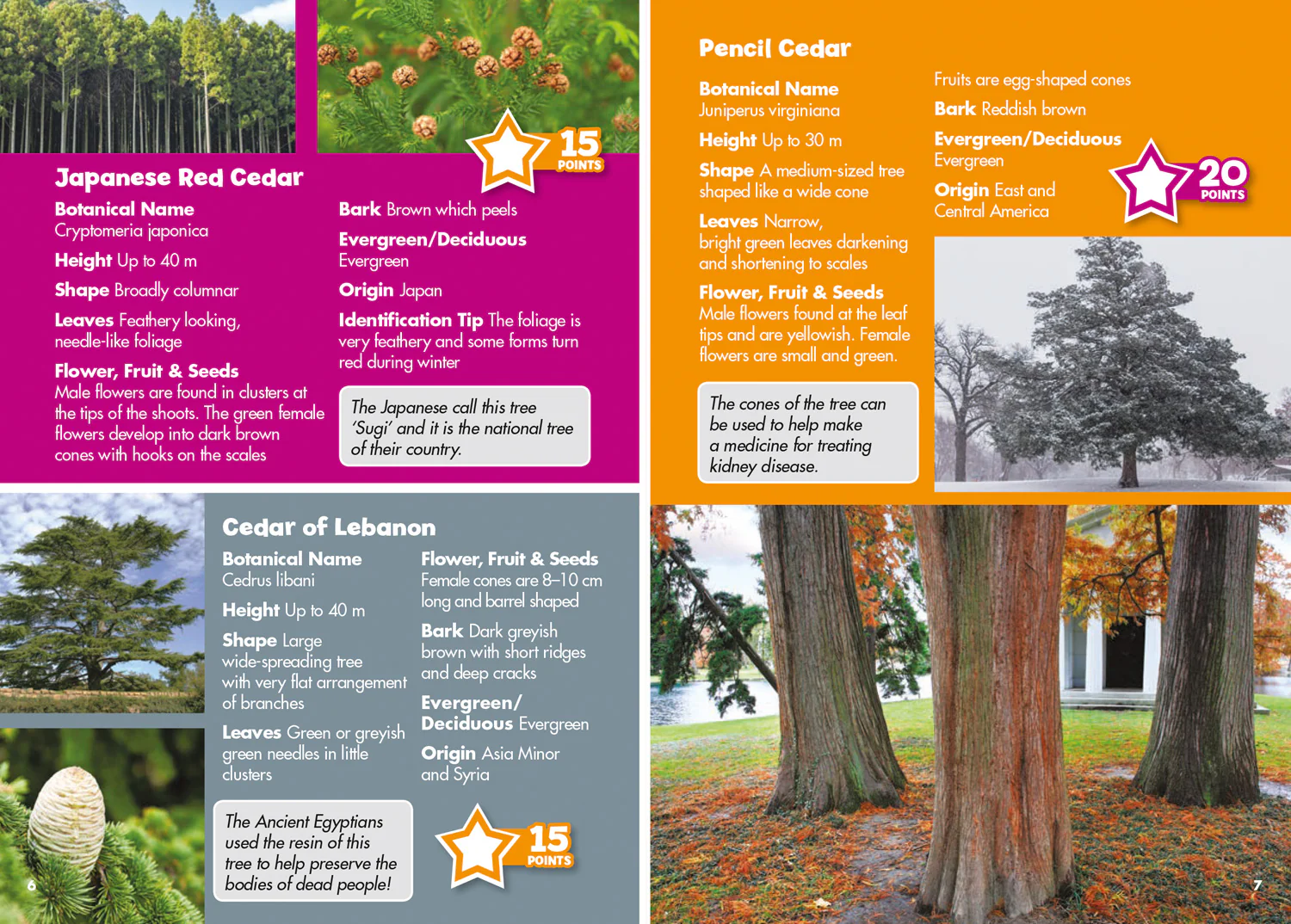 Collins Michelin i-SPY Guides - i-SPY Trees: Spy it! Score it!