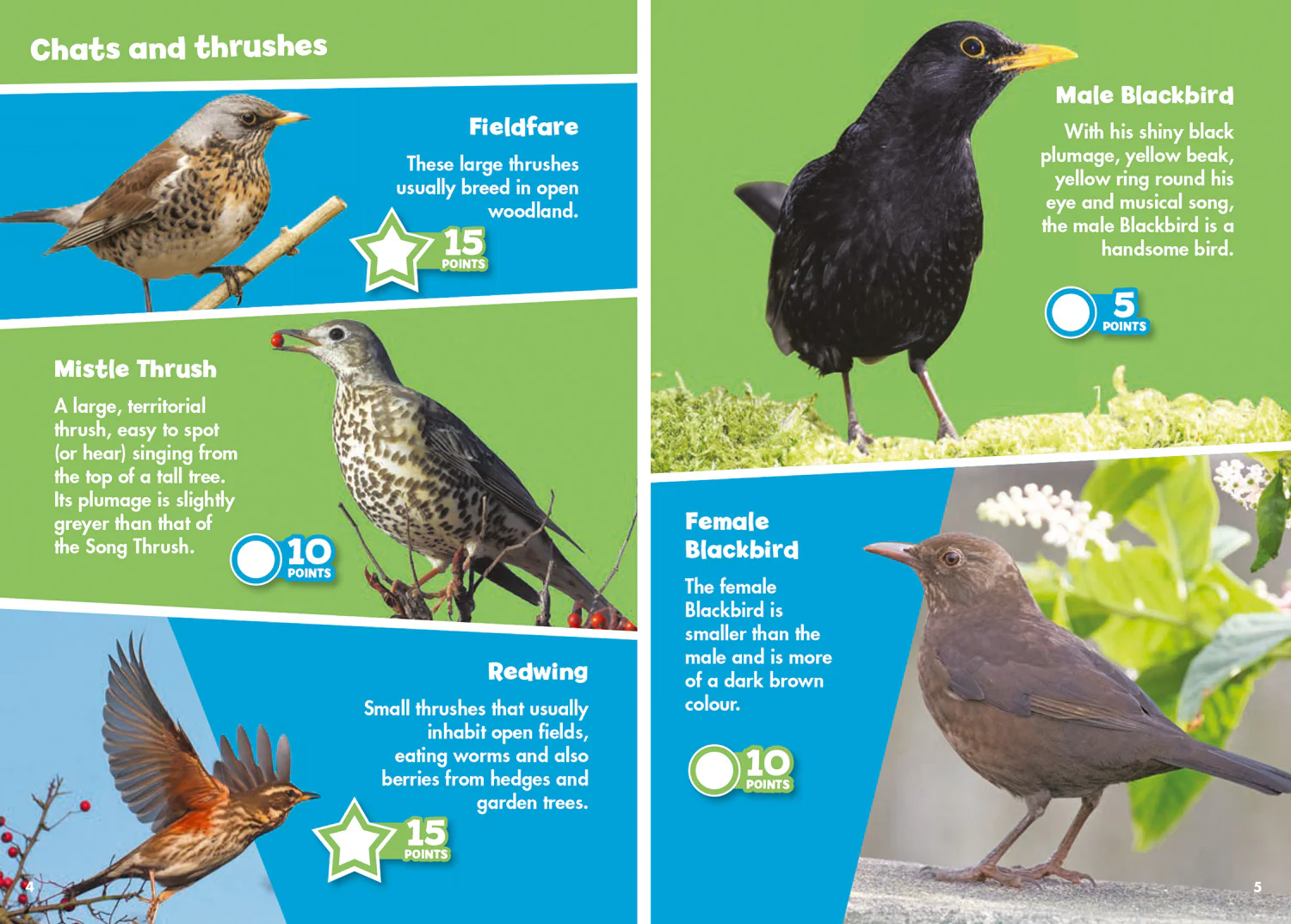 Collins Michelin i-SPY Guides - i-SPY Garden Birds: Spy it! Score it!