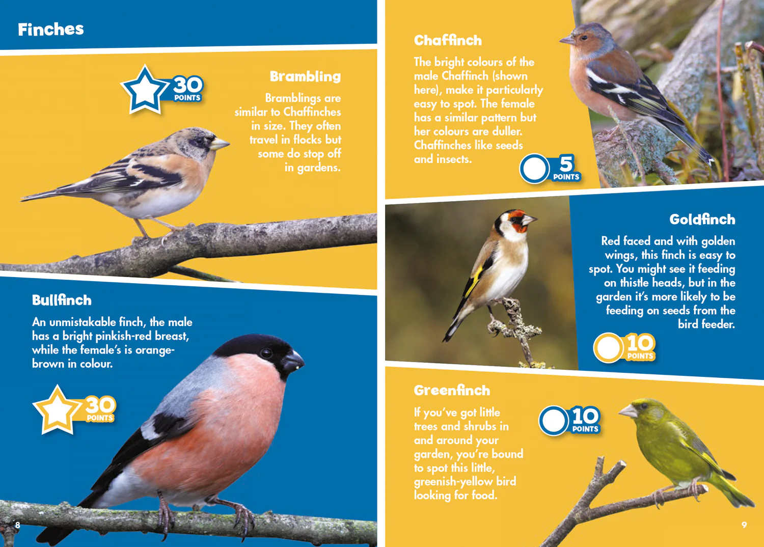 Collins Michelin i-SPY Guides - i-SPY Garden Birds: Spy it! Score it!