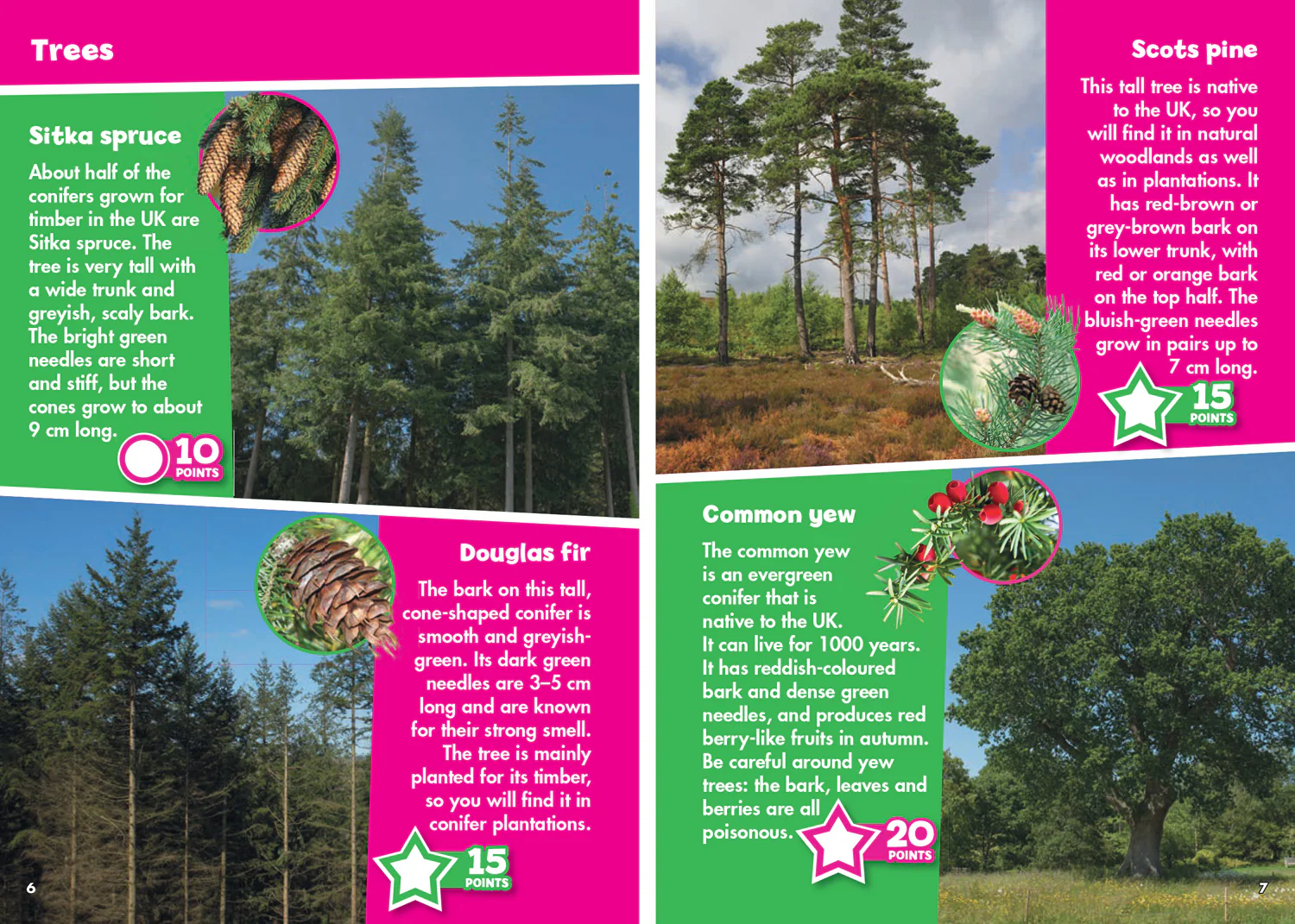 Collins Michelin i-SPY Guides - i-SPY in the Woods: Spy it! Score it!