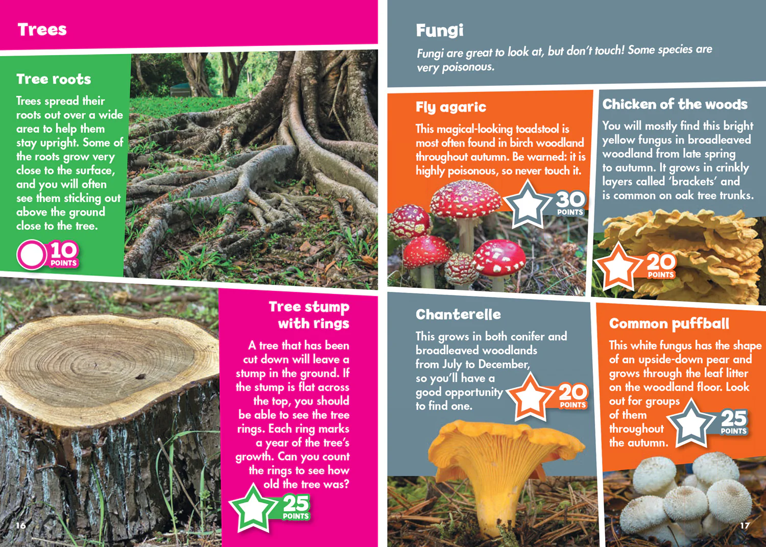Collins Michelin i-SPY Guides - i-SPY in the Woods: Spy it! Score it!