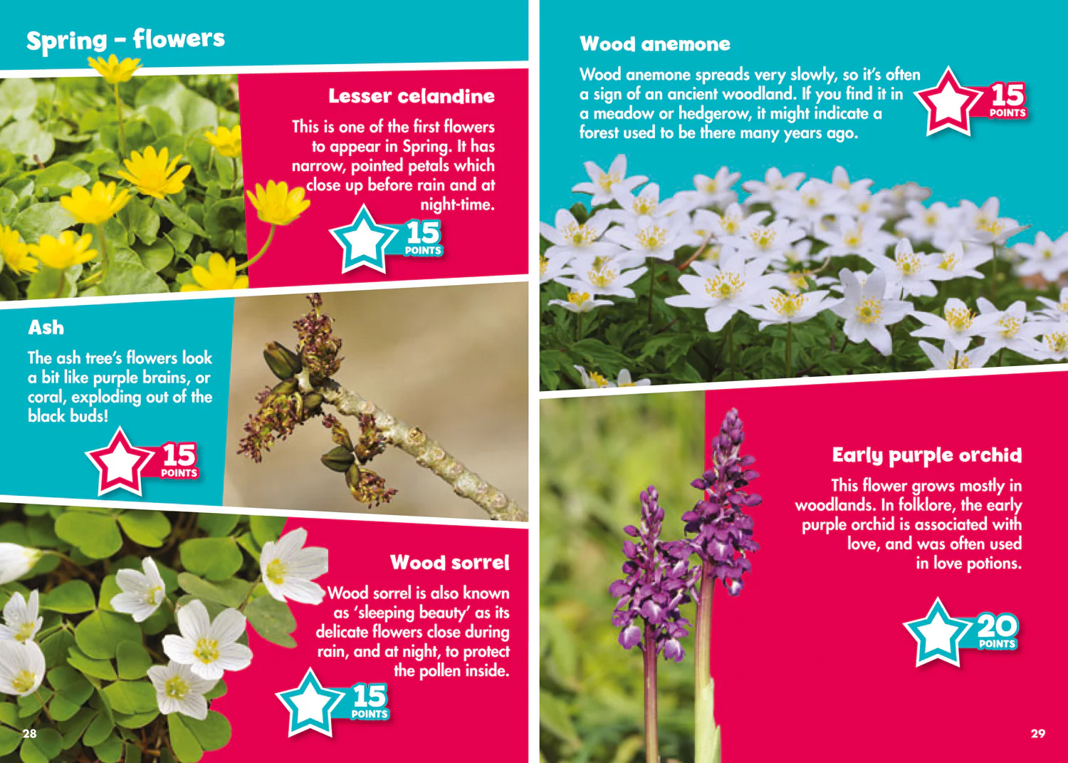 Collins Michelin i-SPY Guides - i-SPY In the Countryside: Spy it! Score it!