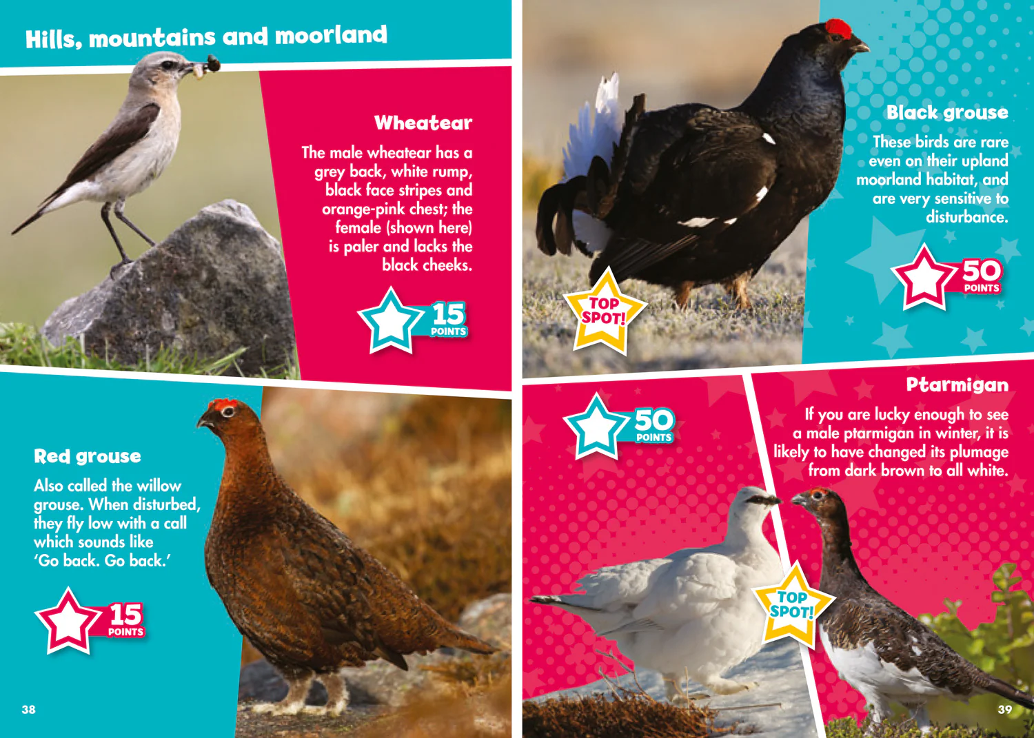 Collins Michelin i-SPY Guides - i-SPY Birds: Spy it! Score it!