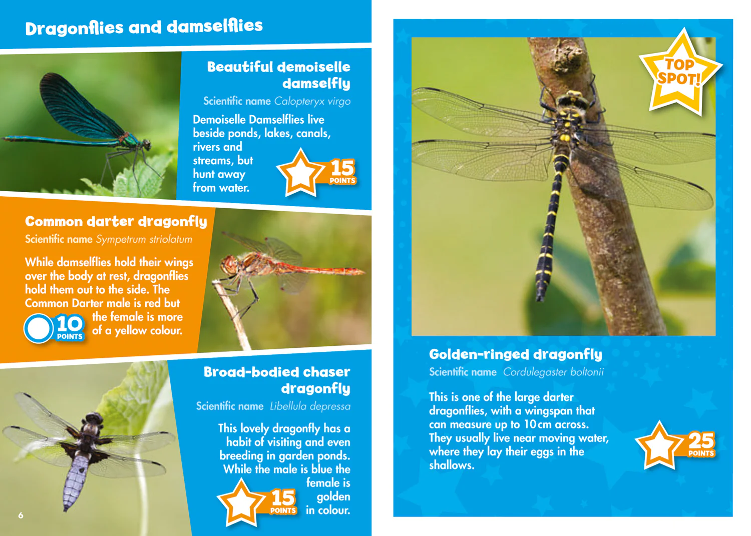 Collins Michelin i-SPY Guides - i-SPY Creepy Crawlies: Spy it! Score it!
