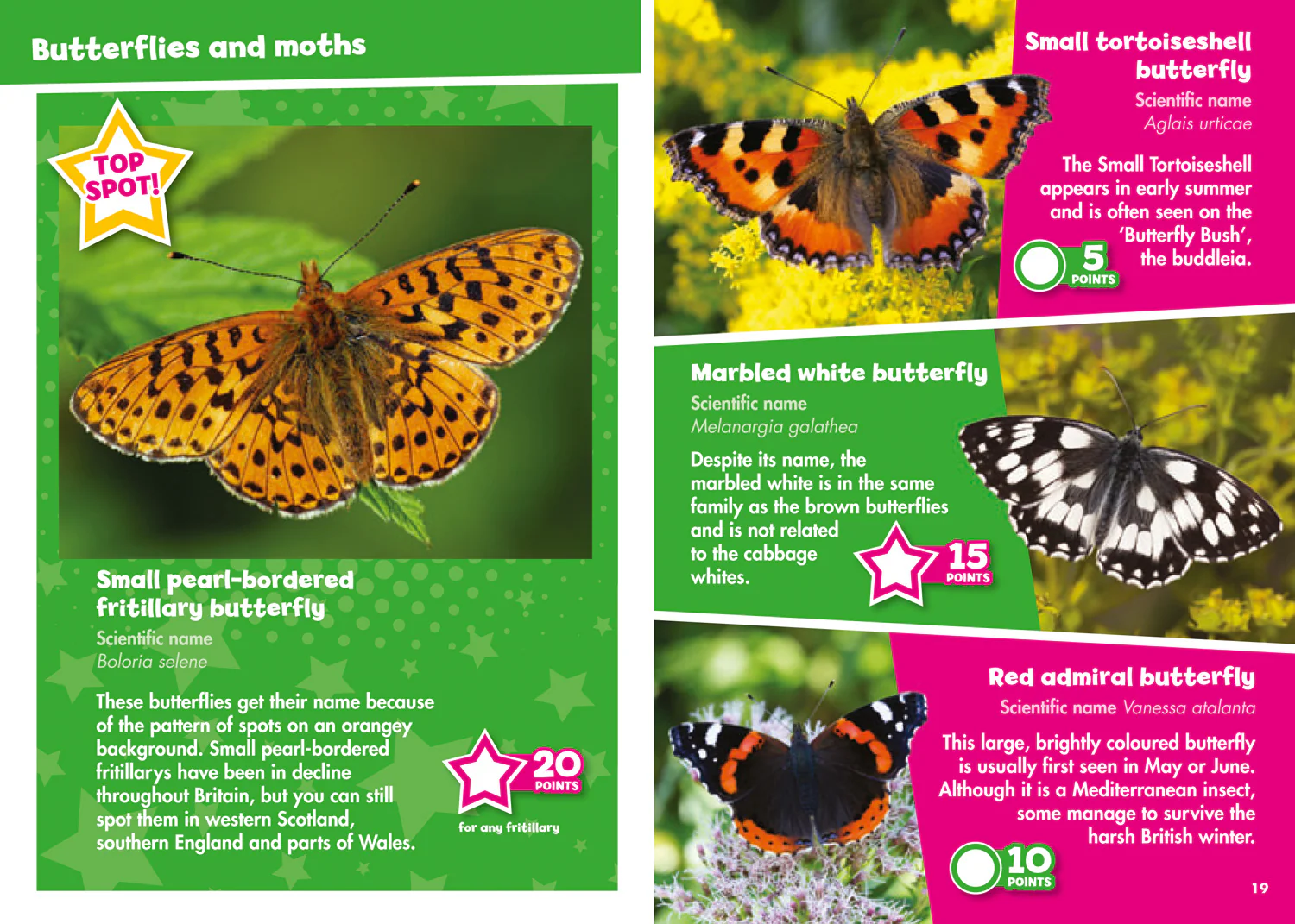 Collins Michelin i-SPY Guides - i-SPY Creepy Crawlies: Spy it! Score it!