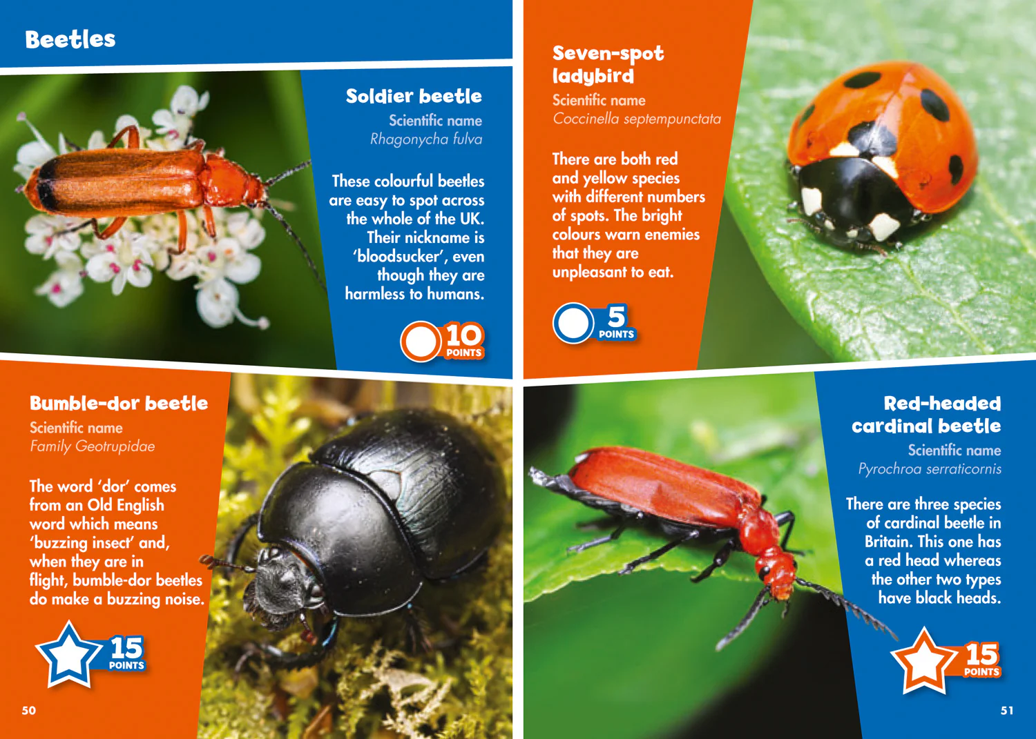 2258-collins-michelin-i-spy-guides-i-spy-creepy-crawlies-spy-it-score-it--3.webp Collins Michelin i-SPY Guides - i-SPY Creepy Crawlies: Spy it! Score it!