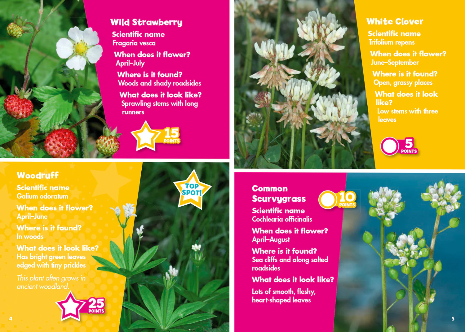 Collins Michelin i-SPY Guides - i-SPY Wildflowers: Spy it! Score it!
