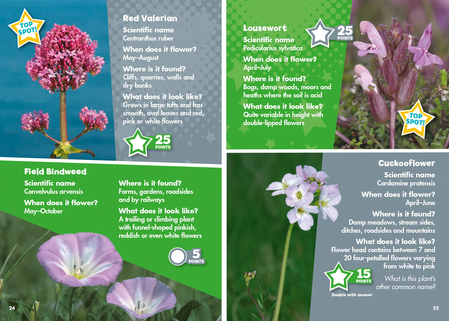 Collins Michelin i-SPY Guides - i-SPY Wildflowers: Spy it! Score it!