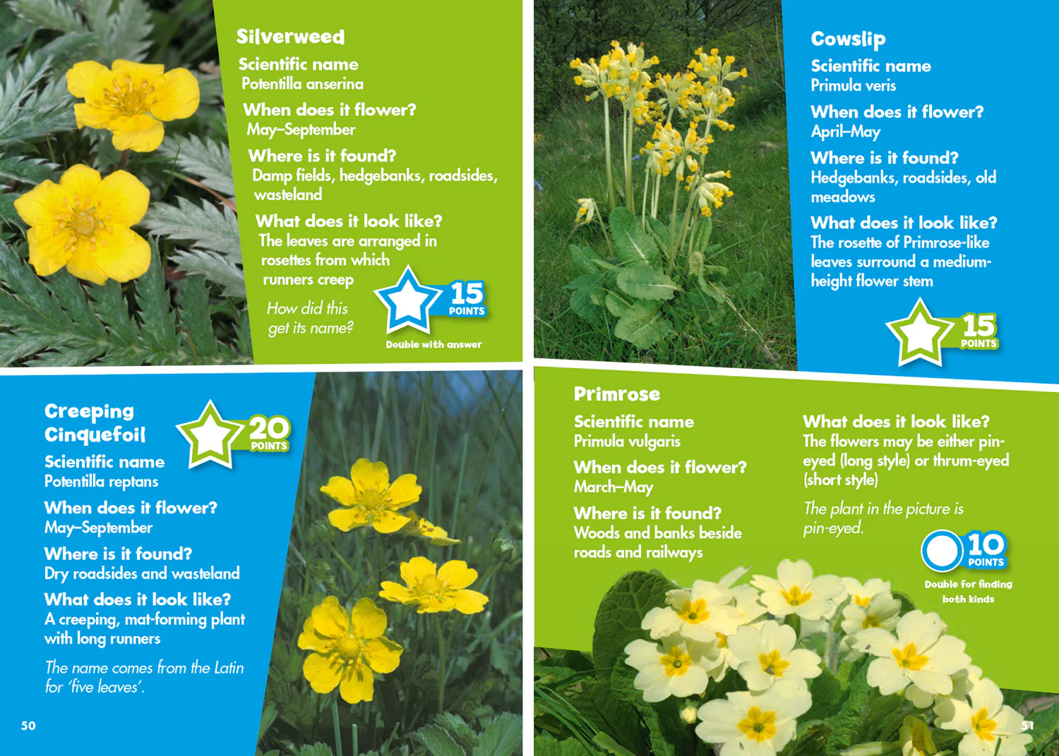 2265-collins-michelin-i-spy-guides-i-spy-wildflowers-spy-it-score-it--3.webp Collins Michelin i-SPY Guides - i-SPY Wildflowers: Spy it! Score it!