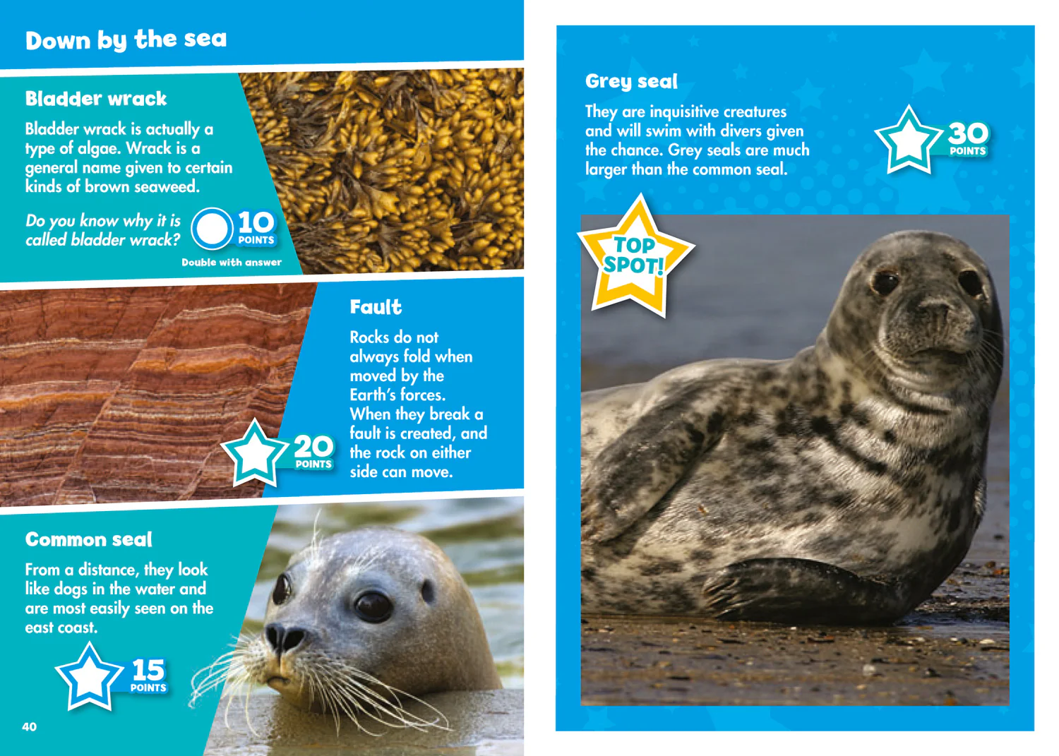 Collins Michelin i-SPY Guides - i-SPY Nature: Spy it! Score it!