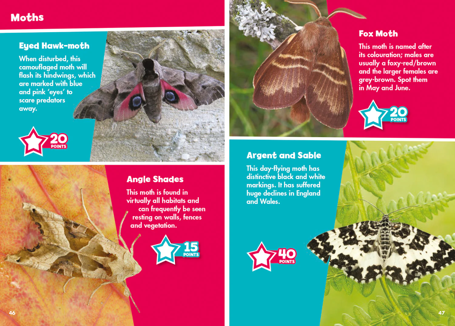 2268-collins-michelin-i-spy-guides-i-spy-butterflies-and-moths-spy-it-score-it--3.webp Collins Michelin i-SPY Guides - i-SPY Butterflies and Moths: Spy it! Score it!