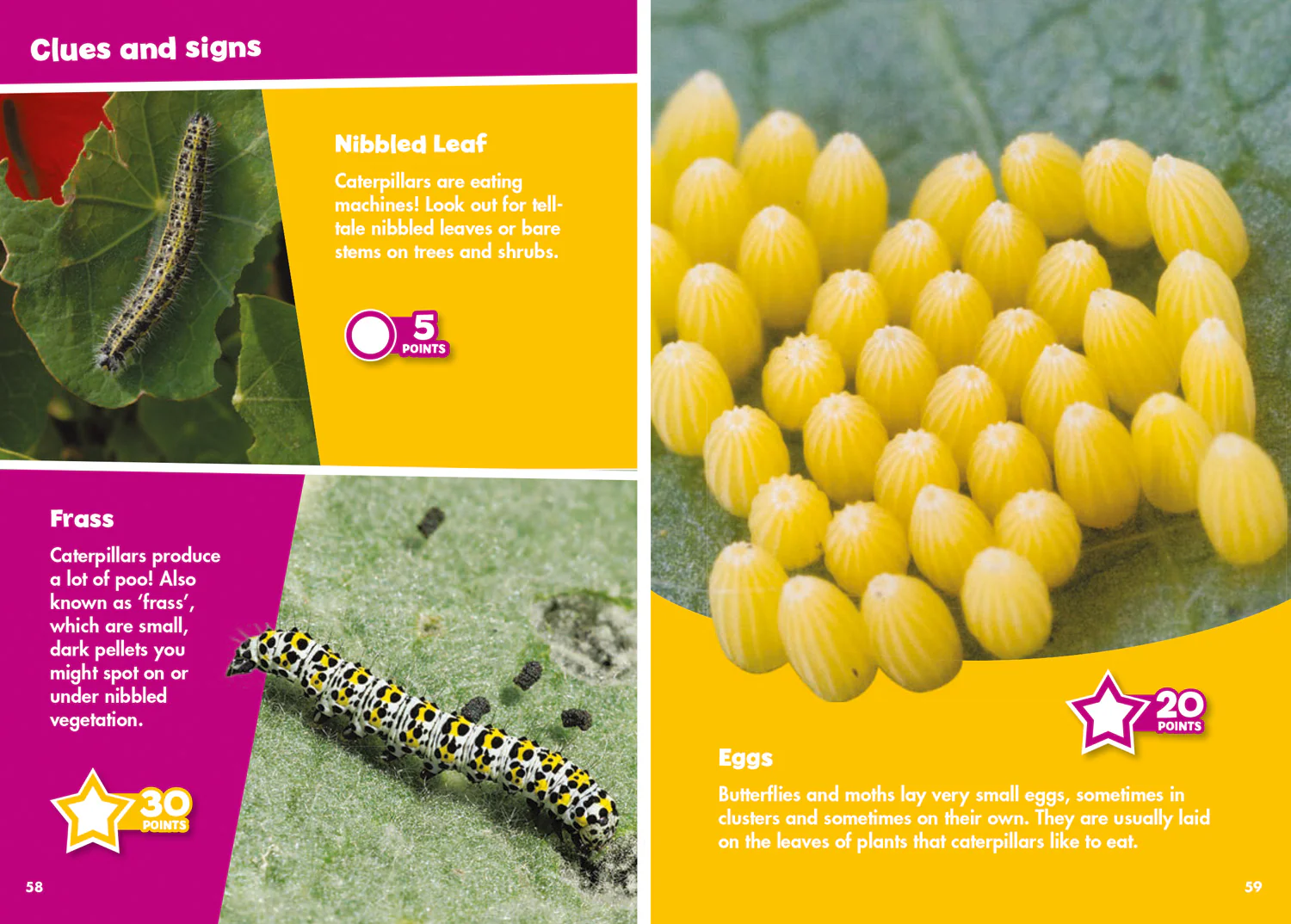 2268-collins-michelin-i-spy-guides-i-spy-butterflies-and-moths-spy-it-score-it--4.webp Collins Michelin i-SPY Guides - i-SPY Butterflies and Moths: Spy it! Score it!